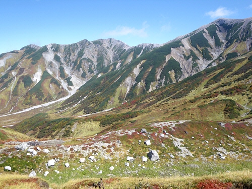 d0230563_12454418.jpg