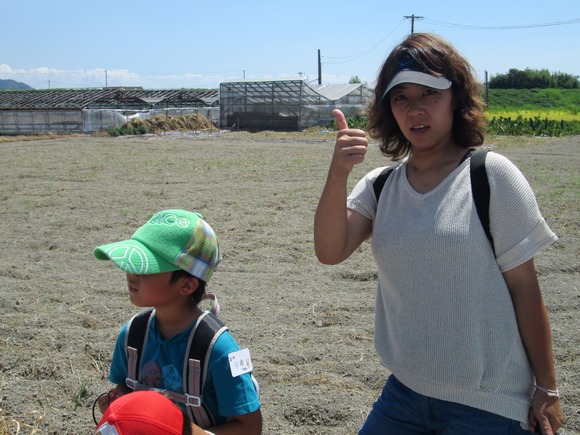 小学生と自由研究②「四つ葉のクローバーを育てよう・前篇」_d0162564_1883538.jpg