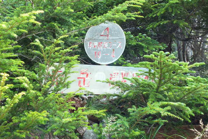 a0040879_00022.jpg