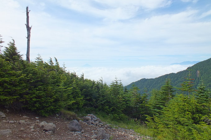 a0040879_2315269.jpg