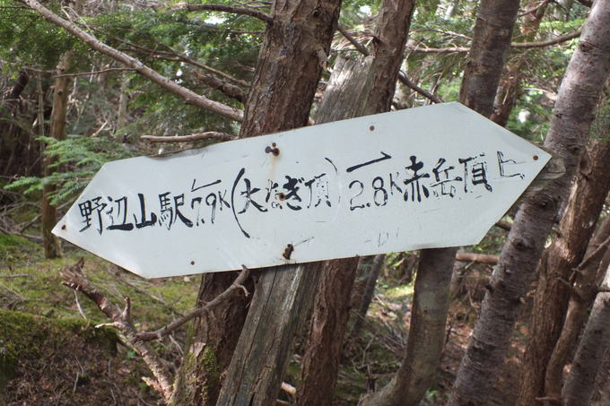 a0040879_2326324.jpg