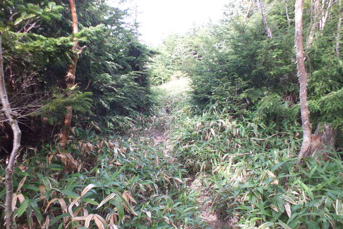 a0040879_2385931.jpg