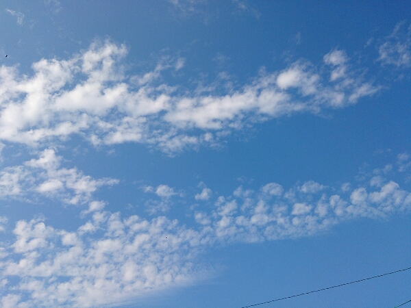 c0301085_92878.jpg