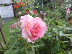 c0078586_9513395.jpg