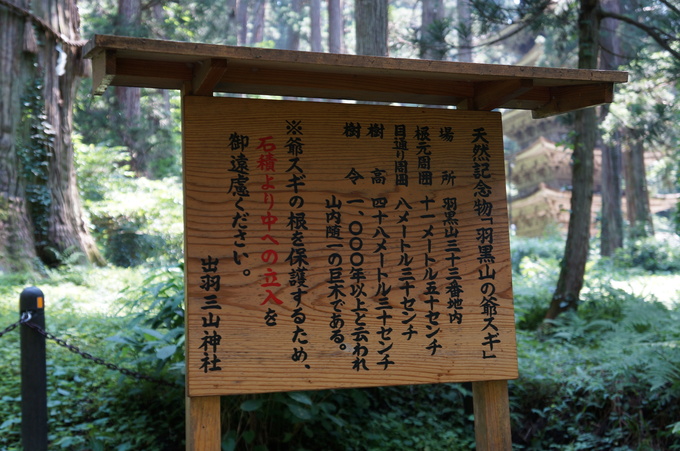 【山形2013】出羽三山神社・羽黒山_e0241093_931918.jpg