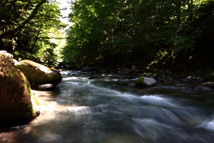 e0174008_11464878.jpg