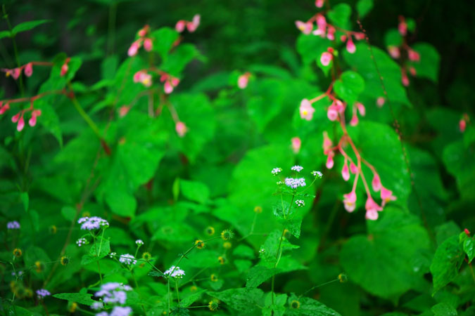a0263109_1518059.jpg