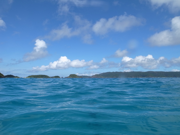 座間味島_e0276411_23262499.jpg