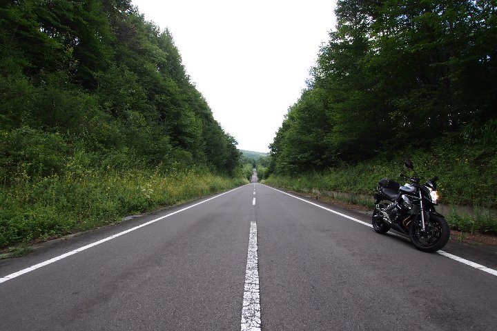 a0268412_0343727.jpg