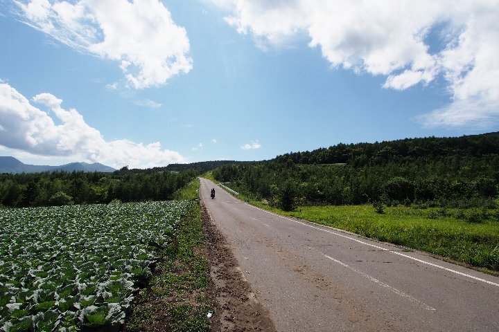 a0268412_0344974.jpg