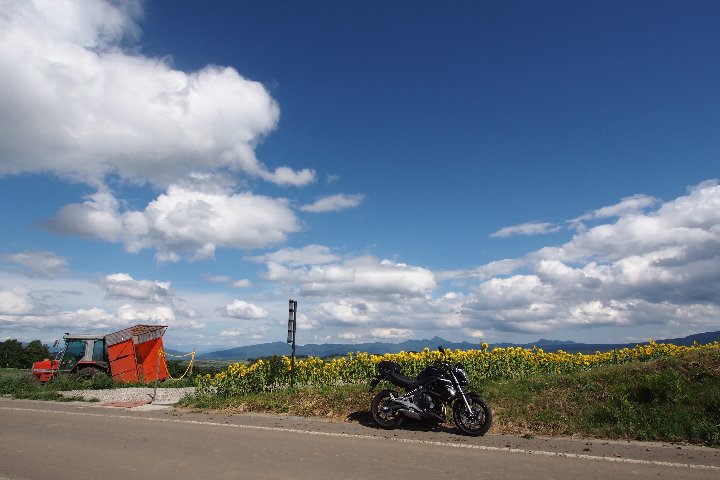 a0268412_0382076.jpg