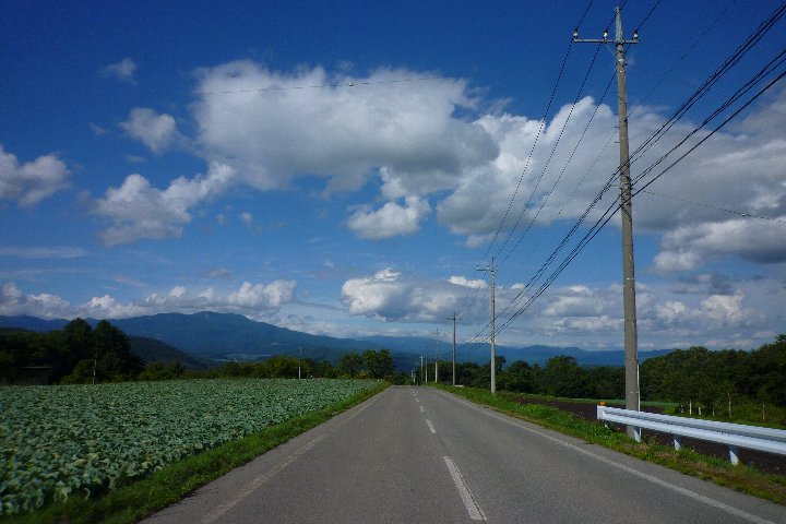 a0268412_0382527.jpg