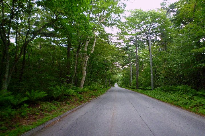 a0268412_0382892.jpg
