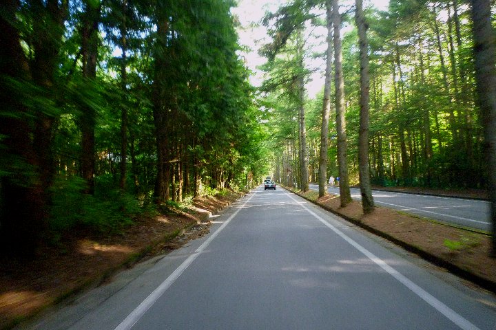 a0268412_0383080.jpg