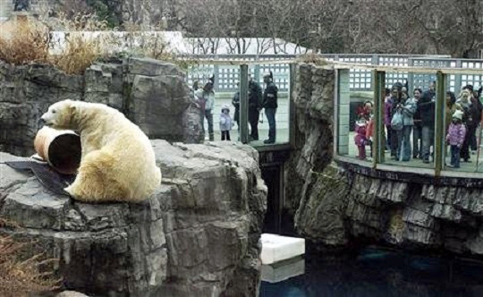 ニューヨーク ・ セントラルパーク動物園のガス逝く_a0151913_4502128.jpg