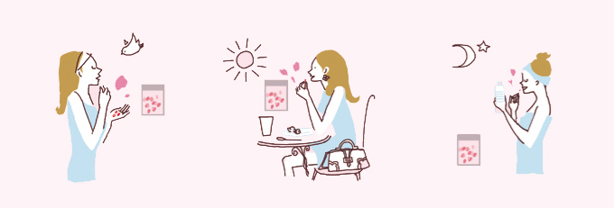 Rose Dress サプリメント_f0172313_192153100.jpg