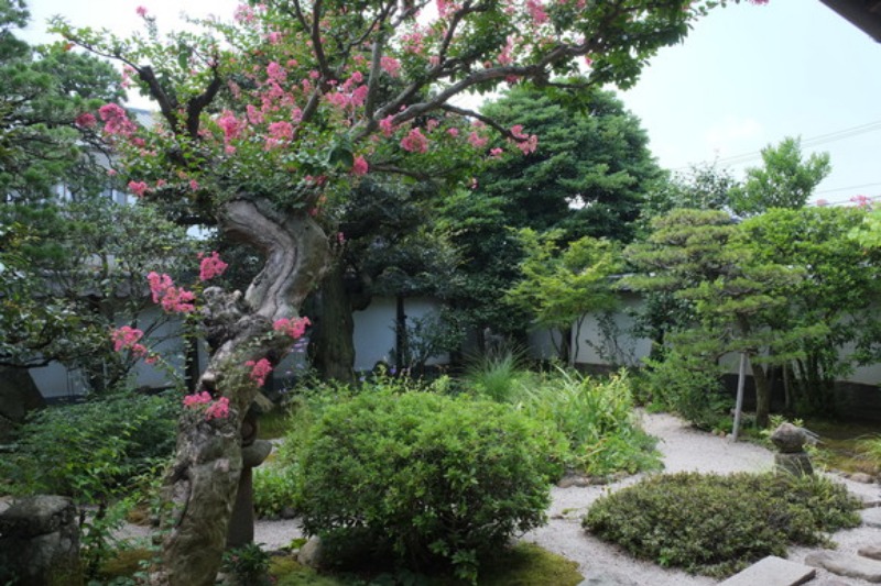 一泊二日で中国三県名所巡り強行軍の旅　その２　青い目の日本人_a0287517_23281580.jpg