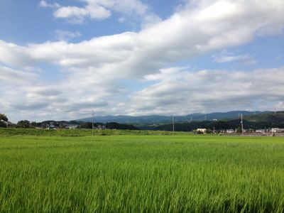 伊豆の実家もいい感じです〜♪_f0095325_22135820.jpg