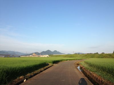 伊豆の実家もいい感じです〜♪_f0095325_22135945.jpg