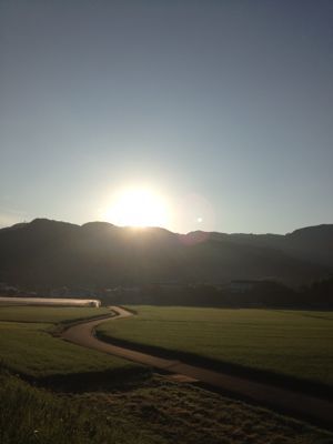 伊豆の実家もいい感じです〜♪_f0095325_2214040.jpg