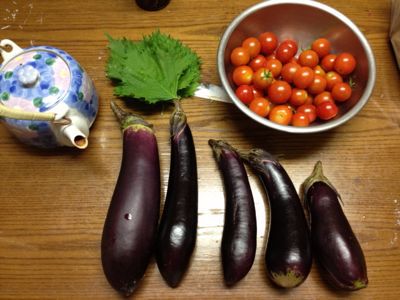 伊豆の実家もいい感じです〜♪_f0095325_221425.jpg