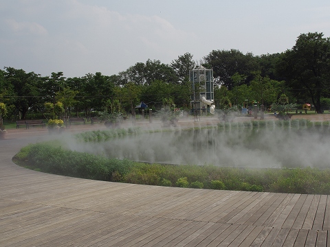 写真撮影_c0077531_22552792.jpg