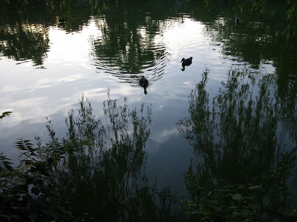 e0066135_22344767.jpg