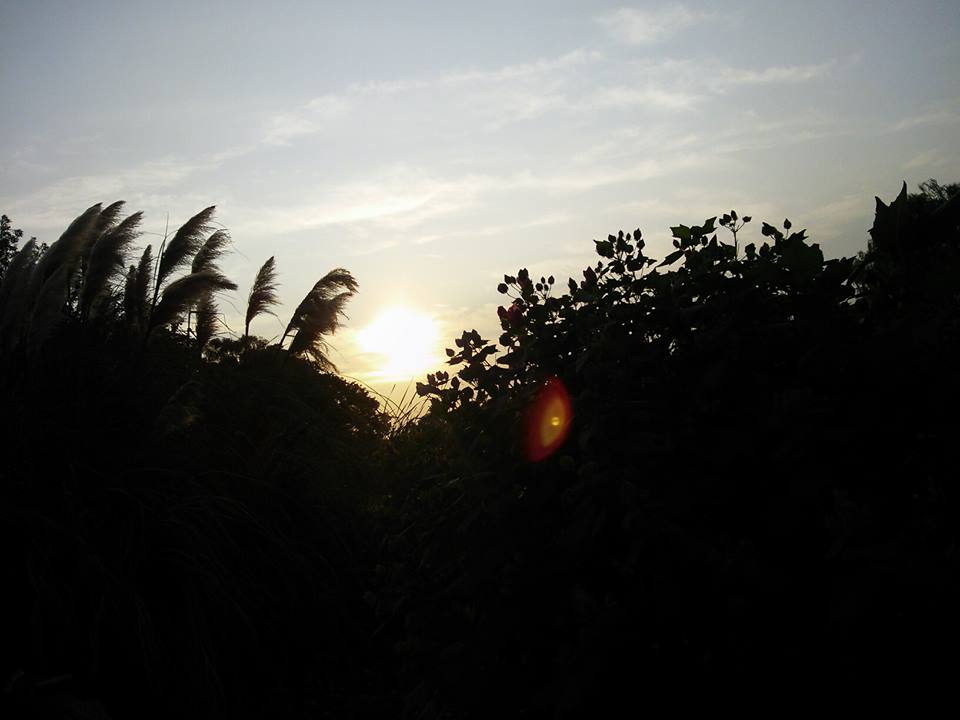 e0066135_22352629.jpg