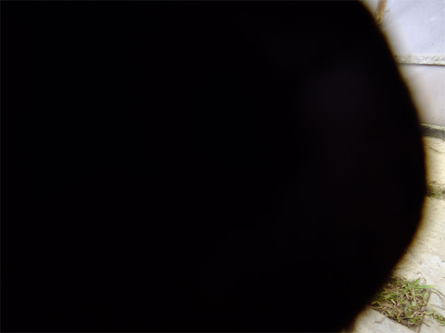 黒まりも_a0179837_0164023.jpg