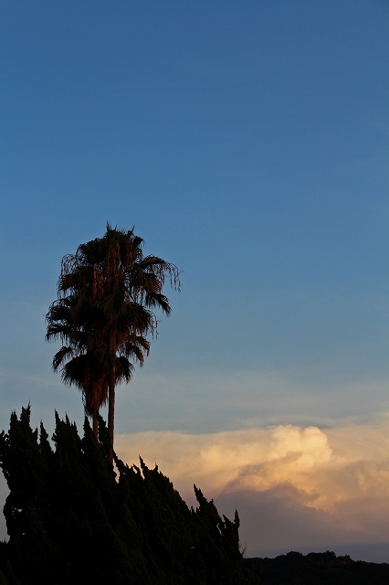 a0242438_19151989.jpg