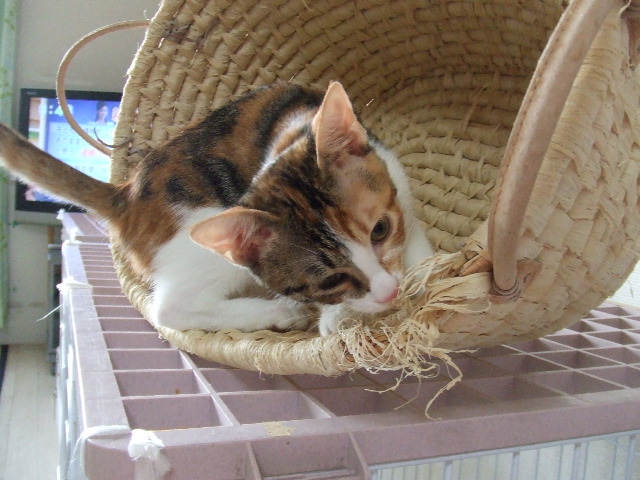 a0319840_9352458.jpg