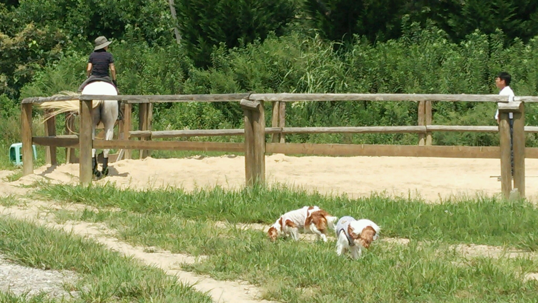 e0145441_20564770.jpg