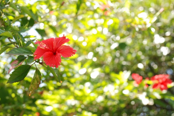 f0229844_20473120.jpg