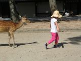 真夏の京都・奈良の旅 ～ ２日目（奈良編）_e0105846_2371472.jpg