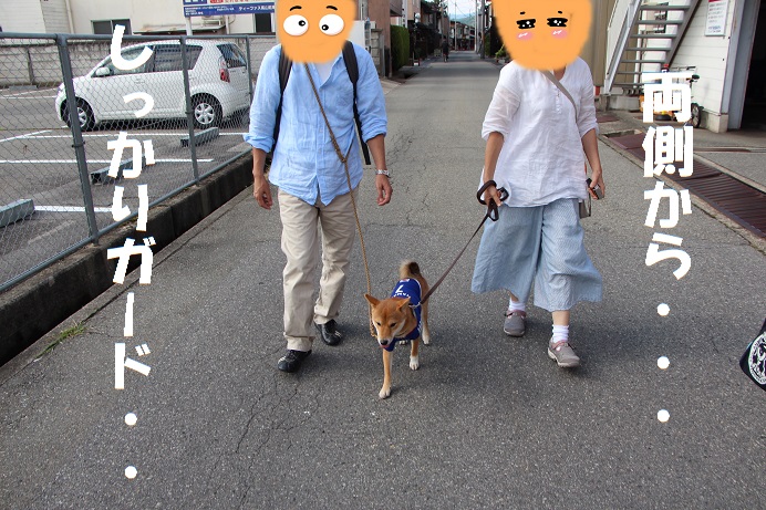 f0245650_8313332.jpg