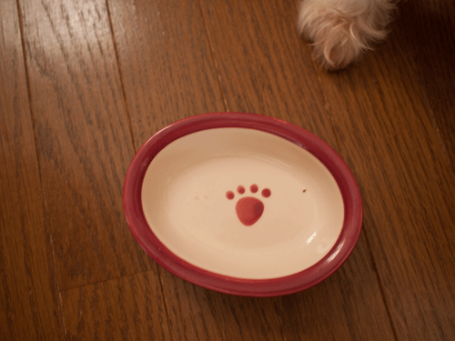 e0248268_9512341.gif
