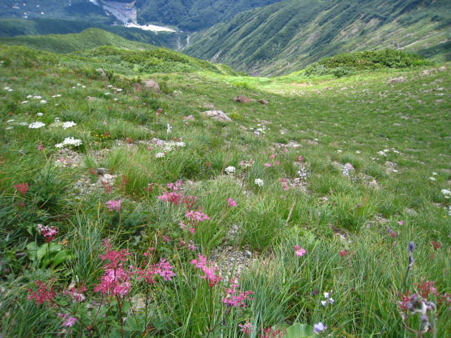 d0168669_23344786.jpg