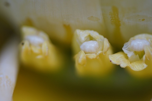 e0181373_22135458.jpg