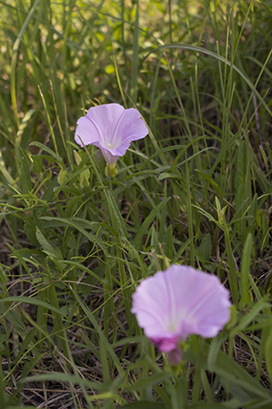 e0168675_9343515.jpg