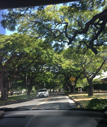hawaii1_f0202682_12152384.jpg