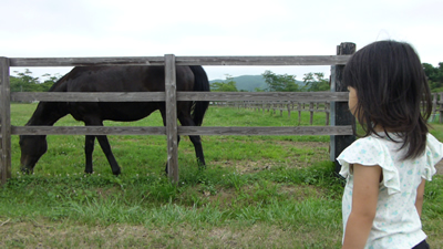 北海道旅行　浦河＆三石、乗馬編_b0061384_23493733.jpg