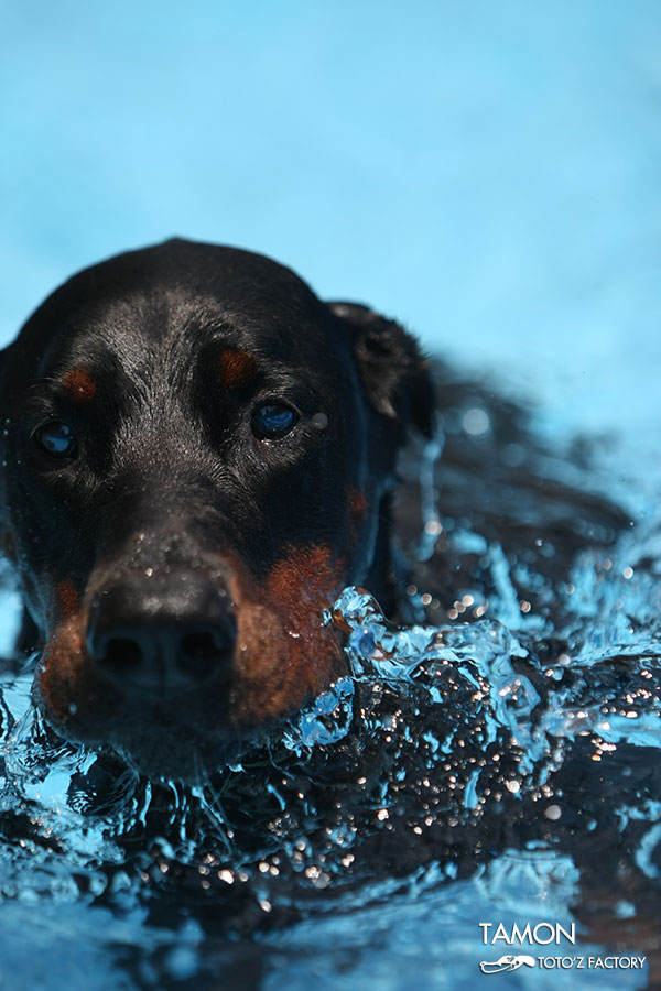 TAMON SPLASH !  15_a0034287_11534086.jpg