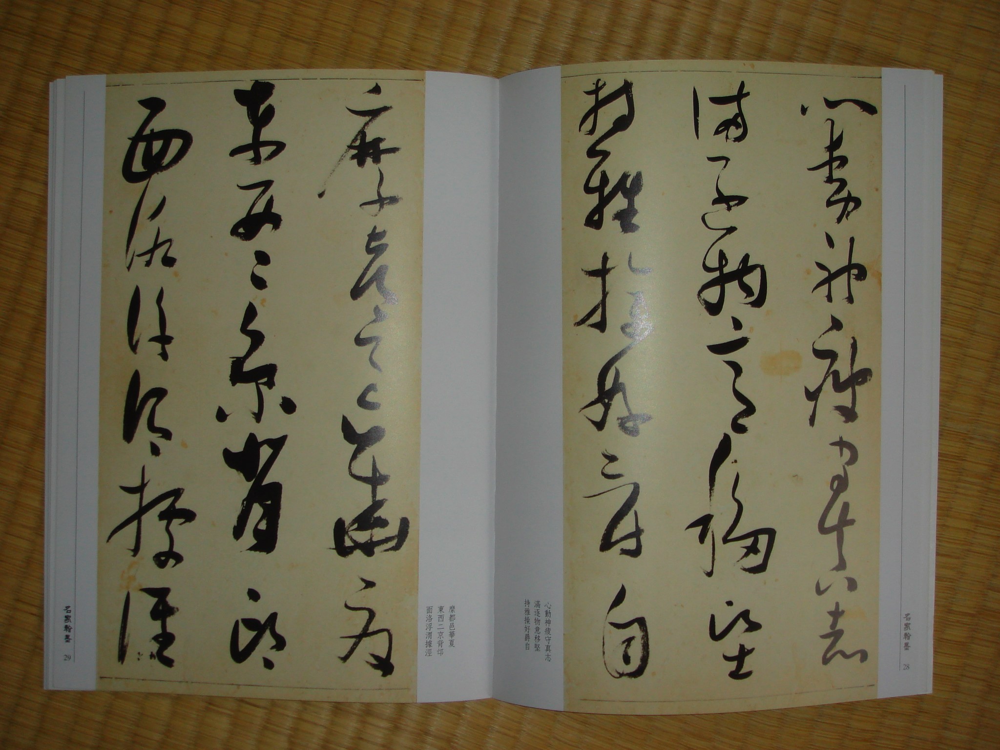 張瑞図/草書千字文 : syodou 張瑞図/草書千字文 : syodou