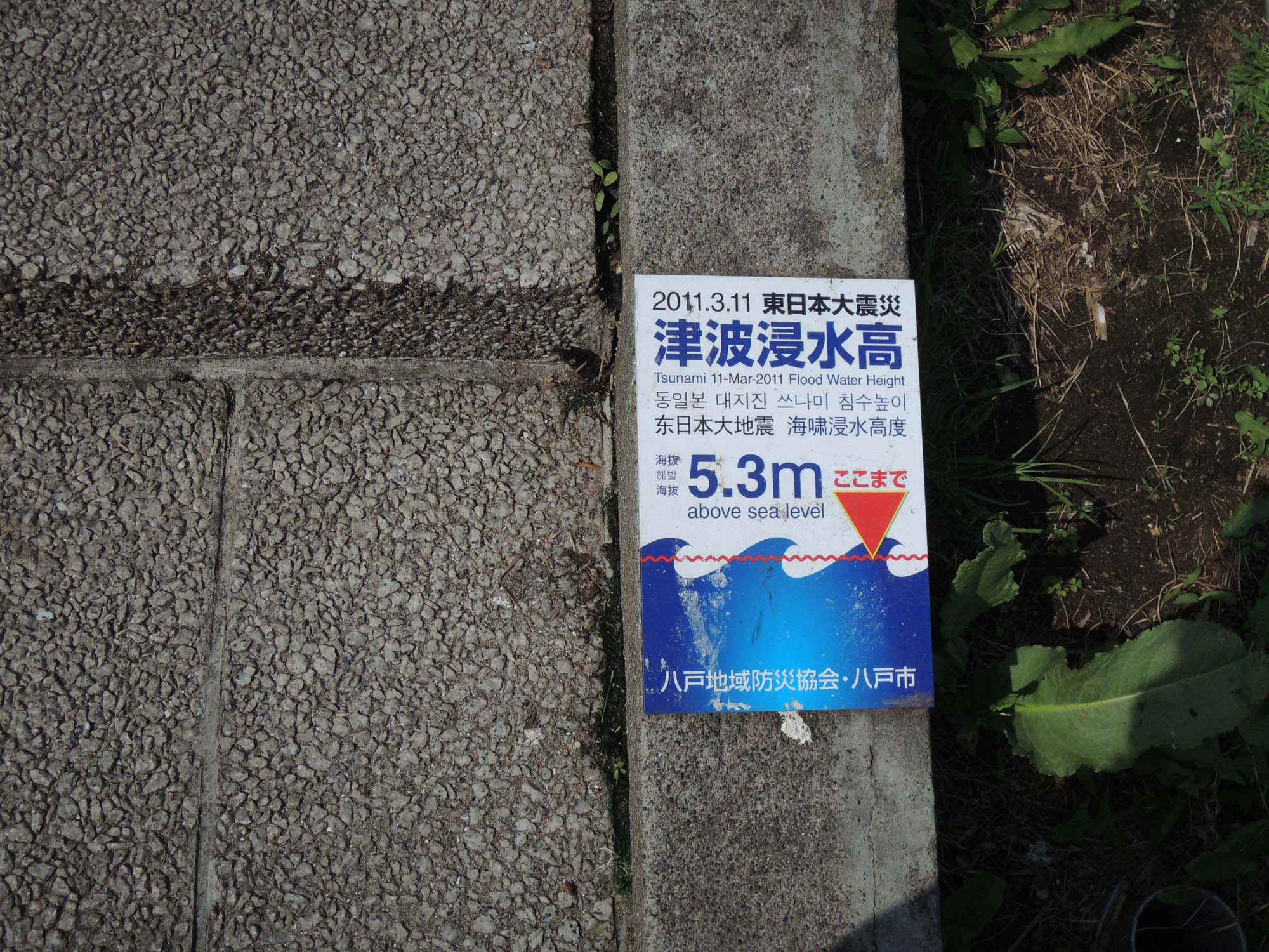 第25回 みちのく旧車ミーティング_b0238789_81943100.jpg