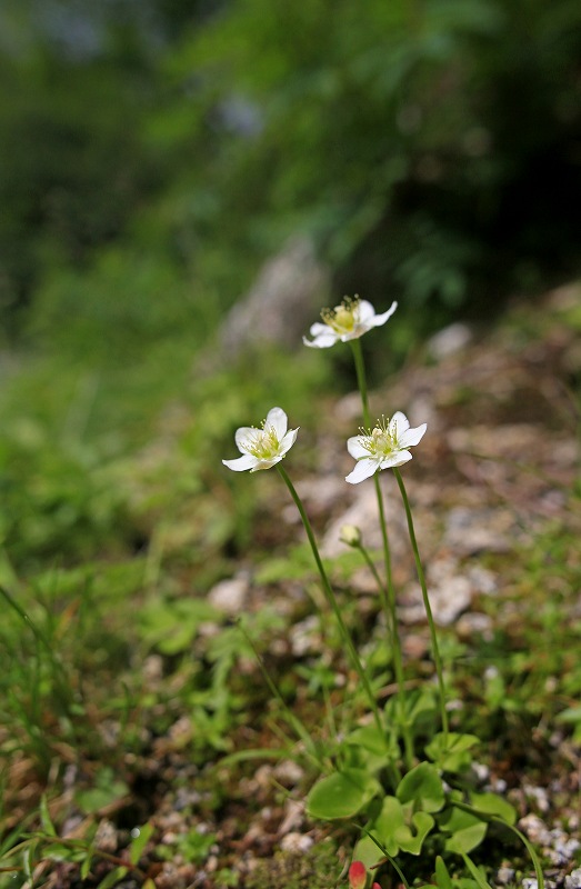 f0000789_951138.jpg
