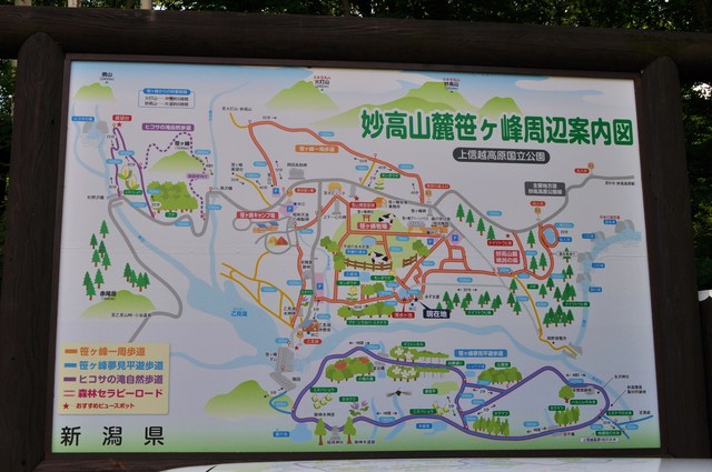 戸隠キャンプ2013⑨ 笹ヶ峰高原_a0126590_15194949.jpg