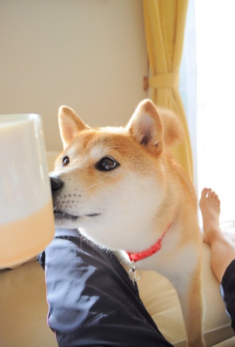 いつも通り_a0126590_7382174.jpg