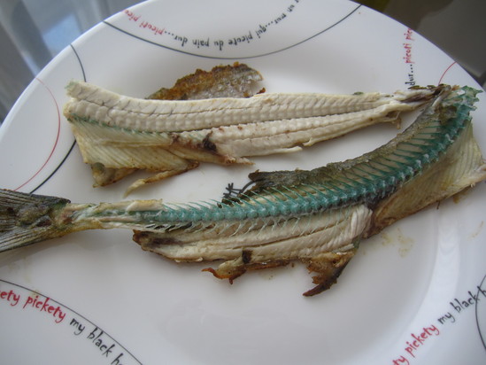 釣りと魚 のんびりノルウェー暮らし