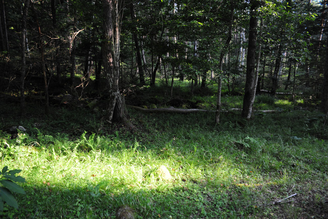 c0149404_2329334.jpg