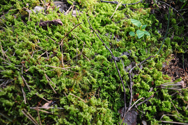 c0149404_23295957.jpg